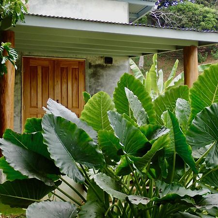 Casa Salvaje Vacation Rentals Μπόκας ντελ Τόρο Εξωτερικό φωτογραφία