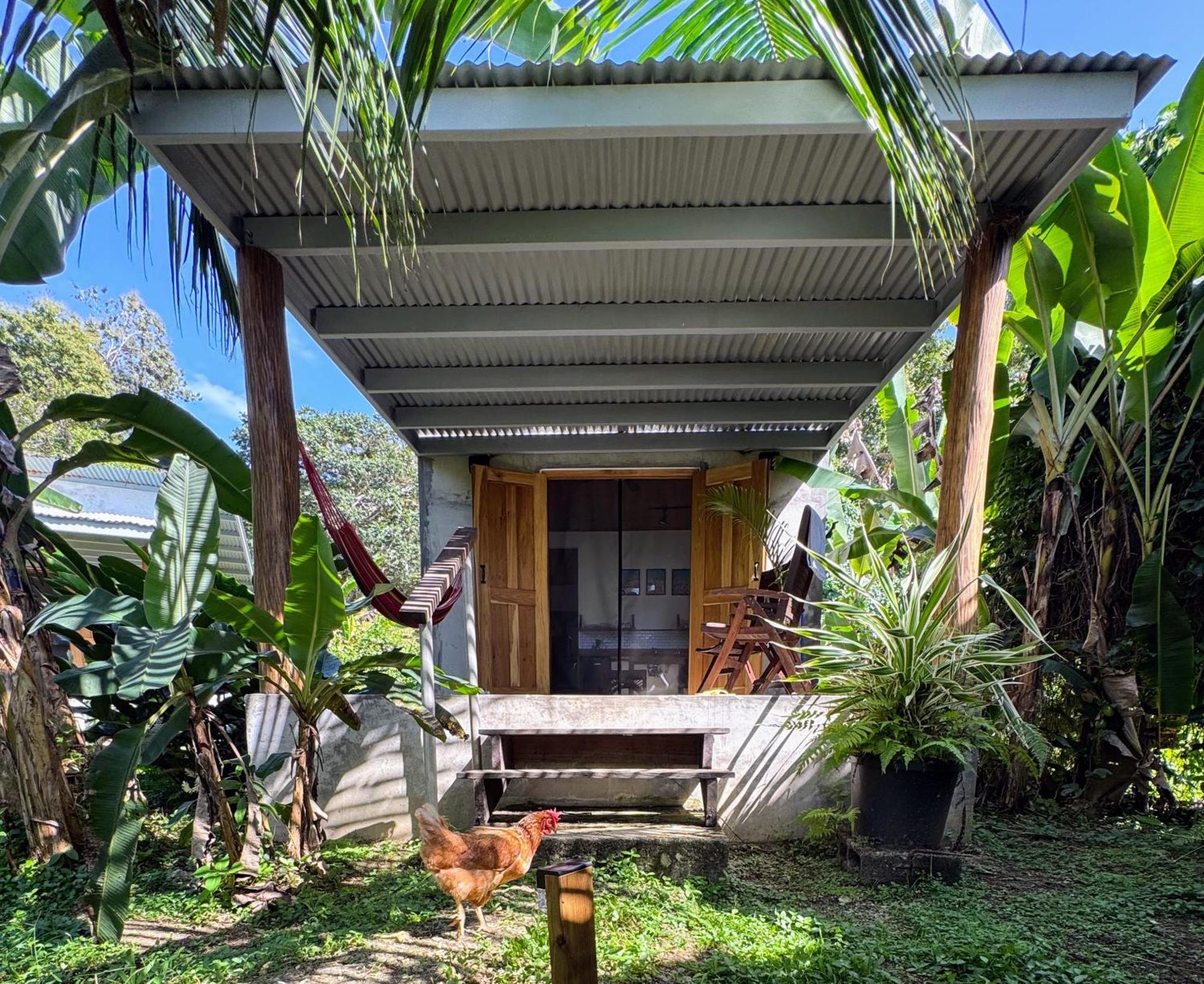 Casa Salvaje Vacation Rentals Μπόκας ντελ Τόρο Εξωτερικό φωτογραφία