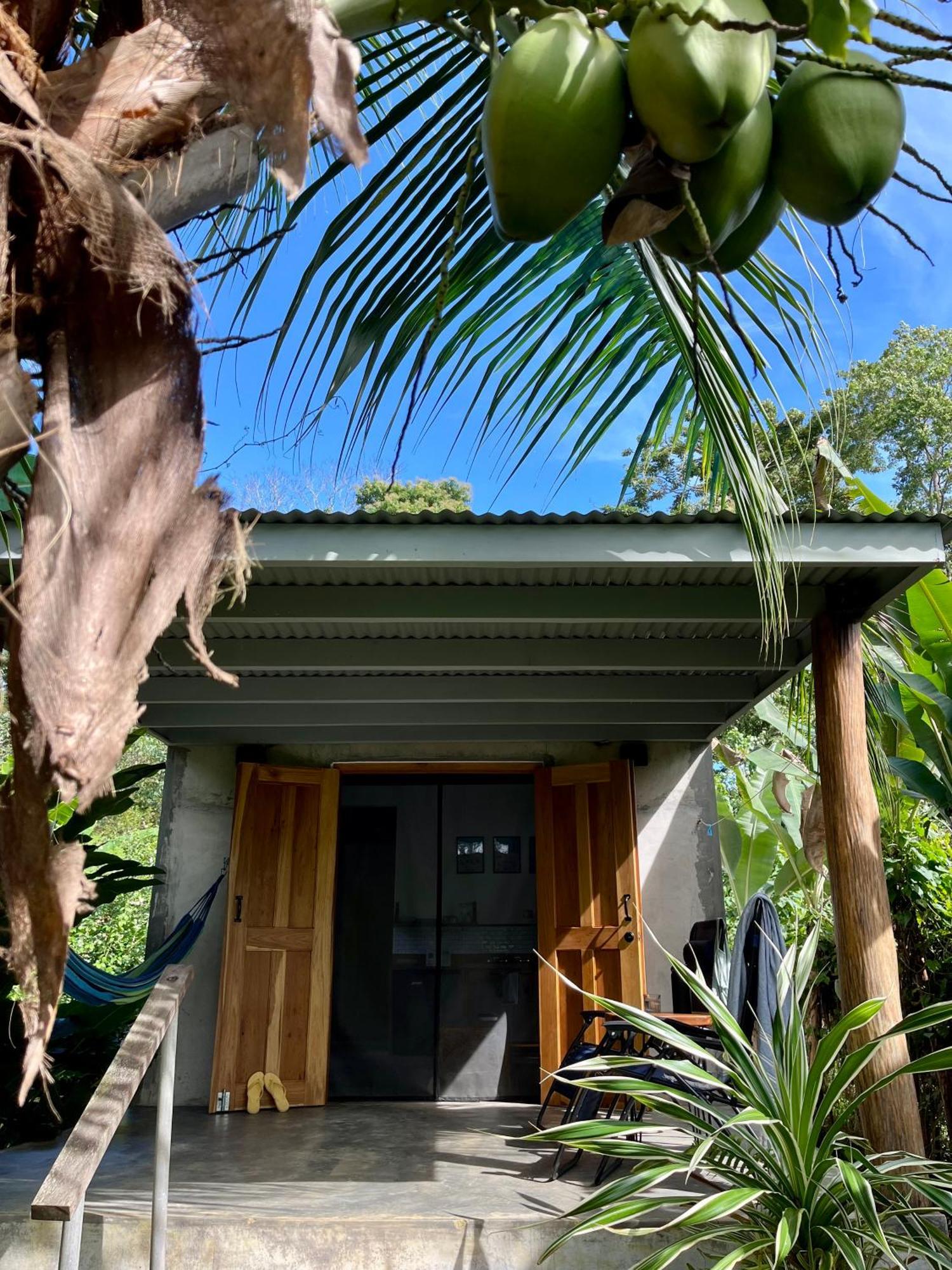 Casa Salvaje Vacation Rentals Μπόκας ντελ Τόρο Εξωτερικό φωτογραφία